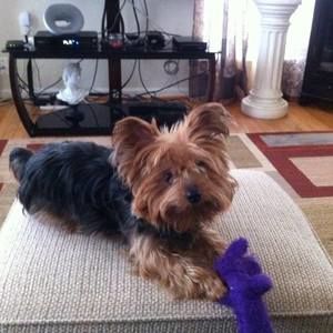 Meet your Posher, Mary